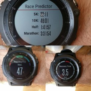 vo2 loss So, this is what losing fitness looks like to Garmin.christian lautenschleger